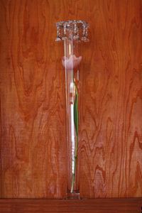 Lida glass vase + lida crystal